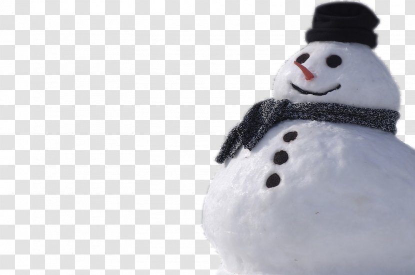 Snowman Clip Art - Snow - Real Transparent PNG