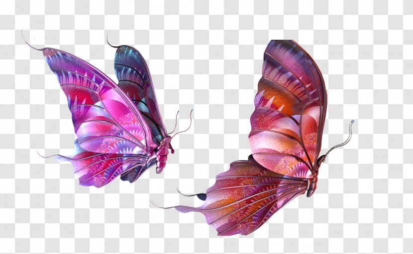 Butterfly Clip Art - Fundal - Both Purple Transparent PNG