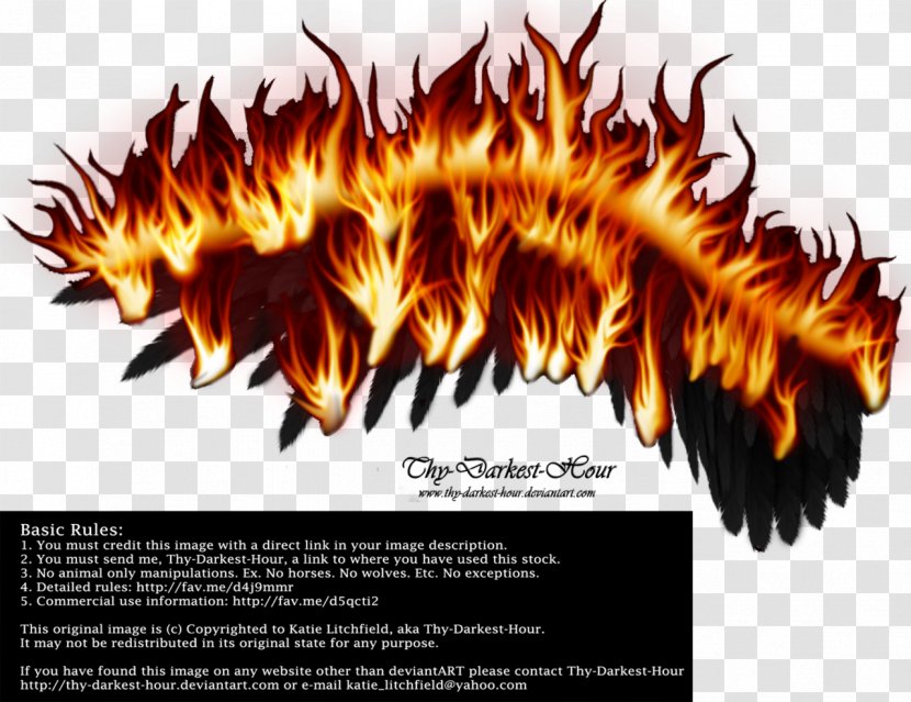 Cool Flame Wing - Wings Transparent PNG