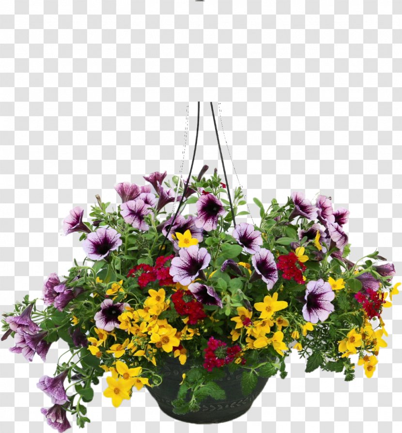 Floral Design Annual Plant Flower Tidy Towns Floristry - Pot Transparent PNG