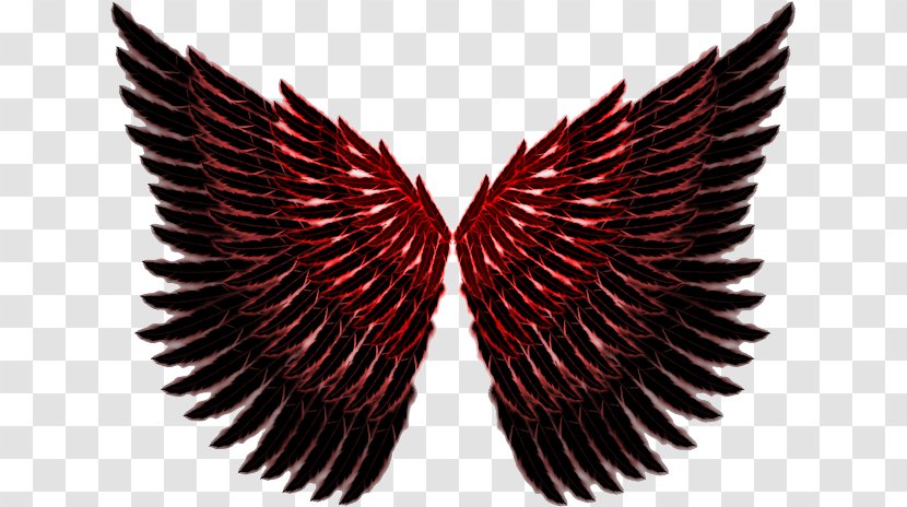 Wing Angel Clip Art - Beak - Centerblog Transparent PNG