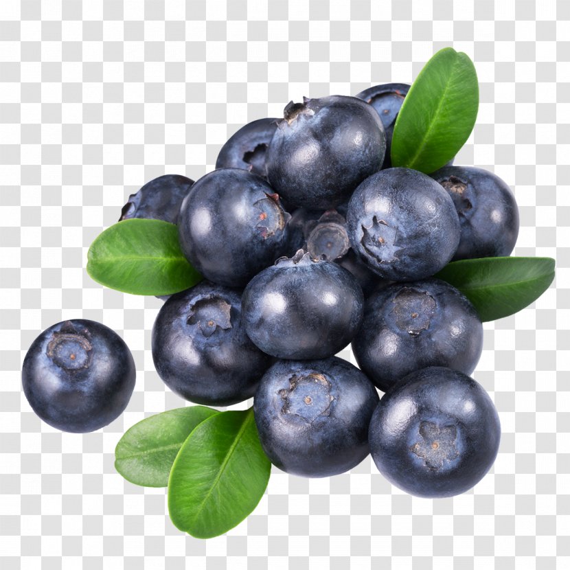 Blueberry Tea Food - Juniper Berry - Blueberries Transparent PNG