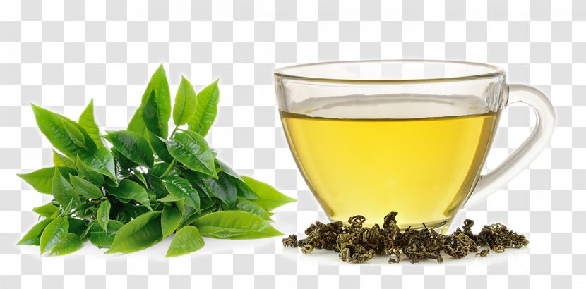Green Tea White Extract Camellia Sinensis - Dandelion Coffee - Wet And Lemonade HD Photograph Transparent PNG
