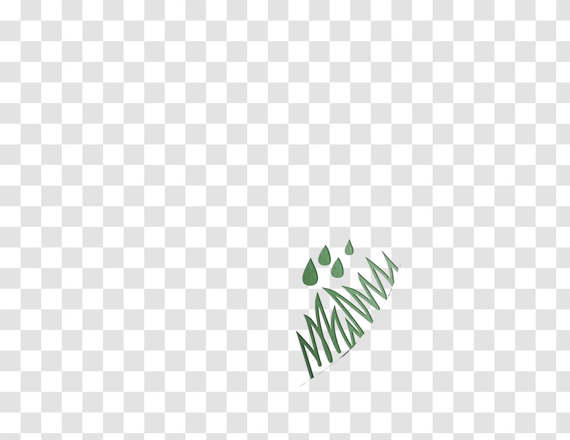 Logo Leaf H&M Font - Tree Transparent PNG