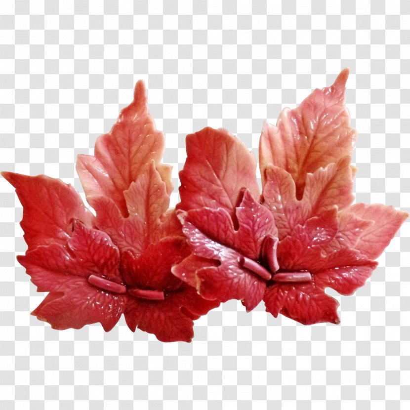 Petal Leaf Flower - SALMON Transparent PNG