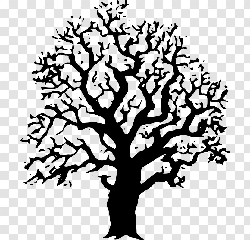 Clip Art Line Drawing Vector Graphics Tree - Flowering Plant Transparent PNG