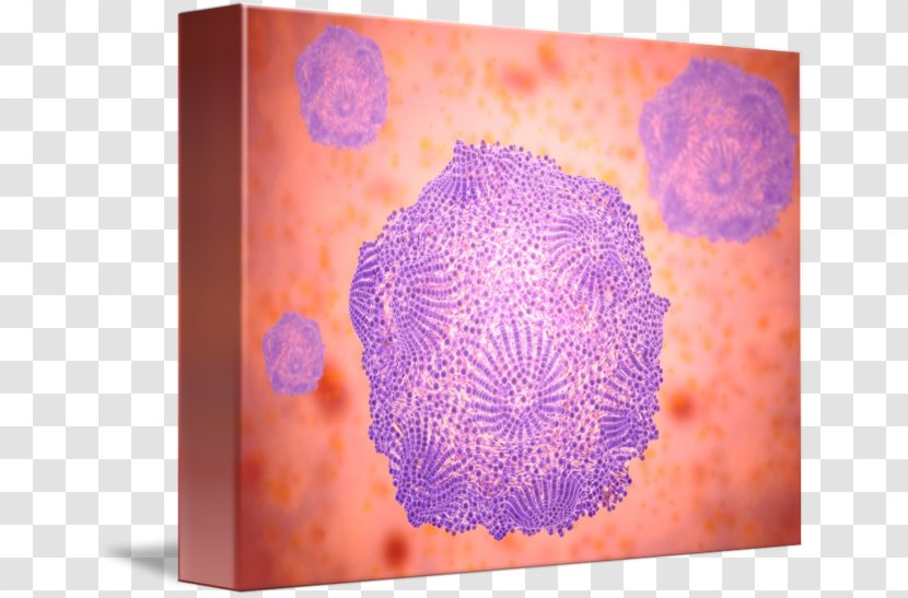 Dog Canine Parvovirus Purple - Microscope Transparent PNG