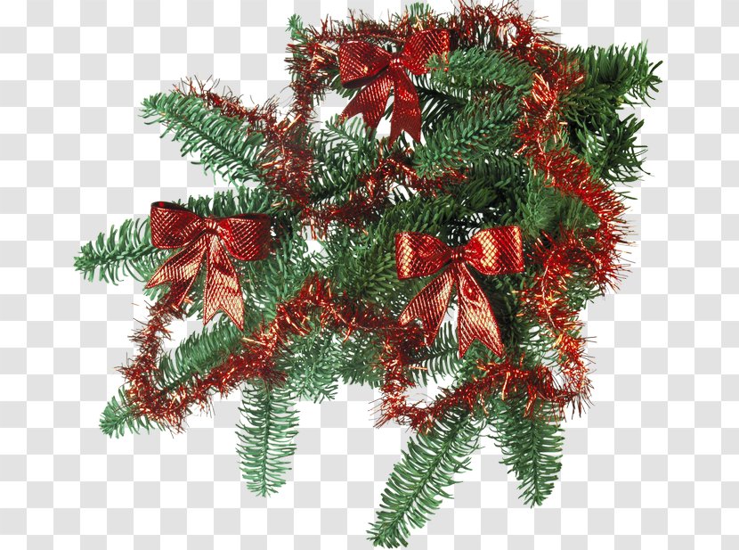 Ded Moroz New Year Tree Christmas Day Holiday - Pine - Party Transparent PNG