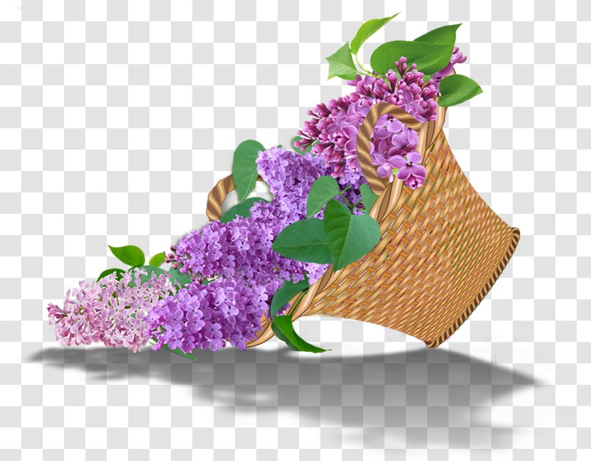 Floral Design Lilac Cut Flowers Garden Roses - Petal Transparent PNG