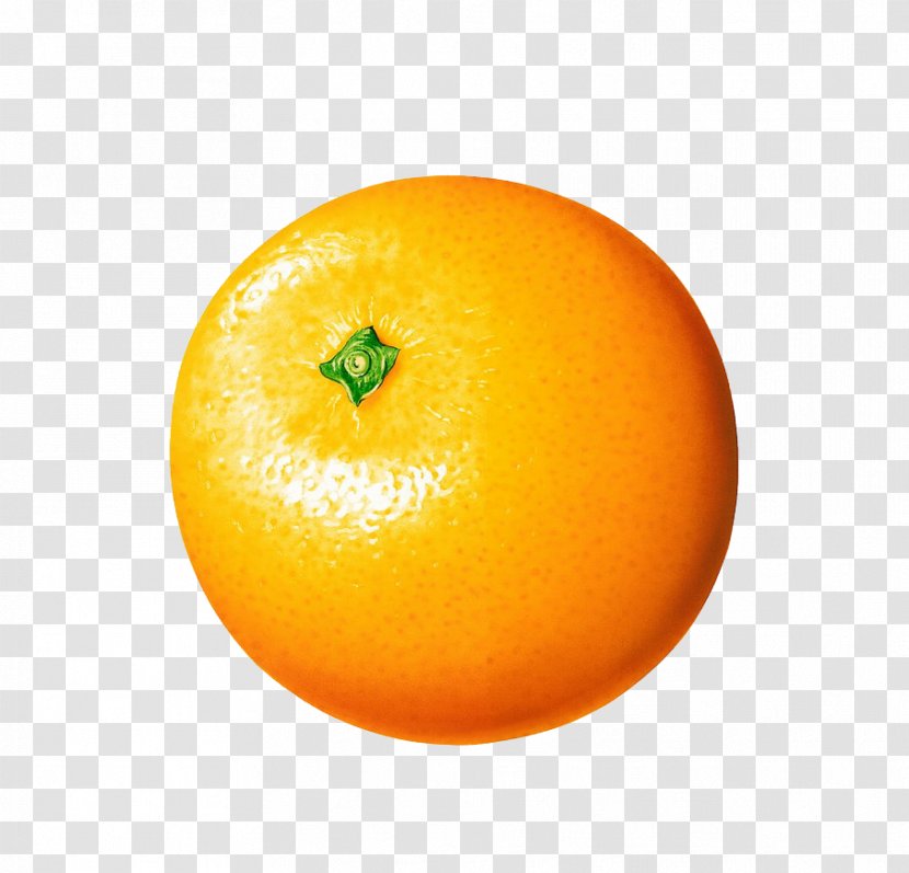 Orange Juice Clementine - Bitter Transparent PNG