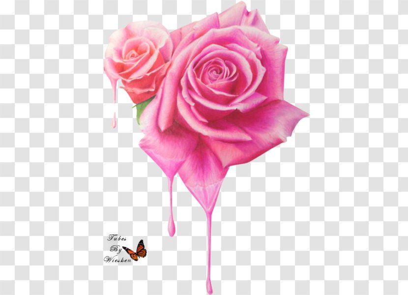 Drawing Rose Colored Pencil Prismacolor Flower - Painting Transparent PNG