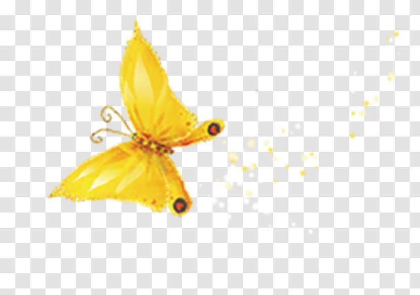 Butterfly Gold Computer File - Moths And Butterflies - Golden Transparent PNG
