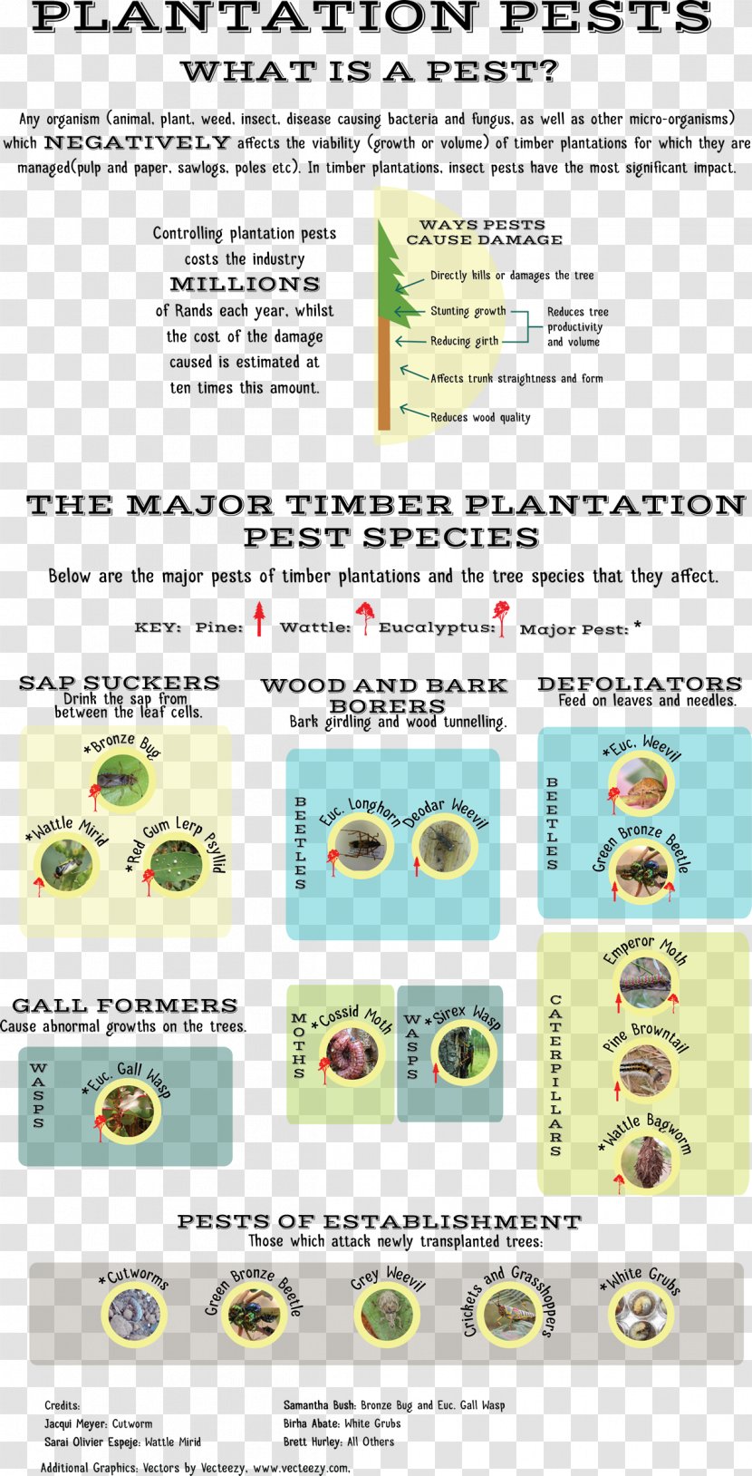 Pest Control Disease Forestry Plantation Transparent PNG