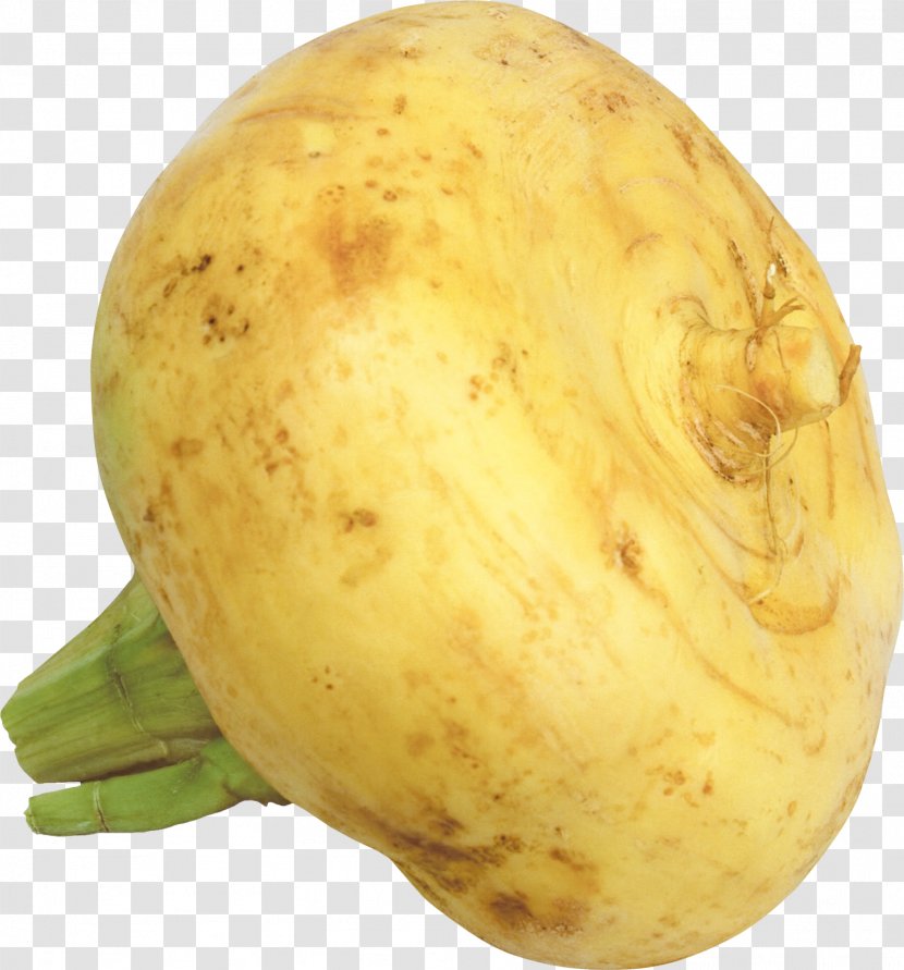 Turnip Root Vegetables Garlic Raphanus - Brassica Rapa Transparent PNG