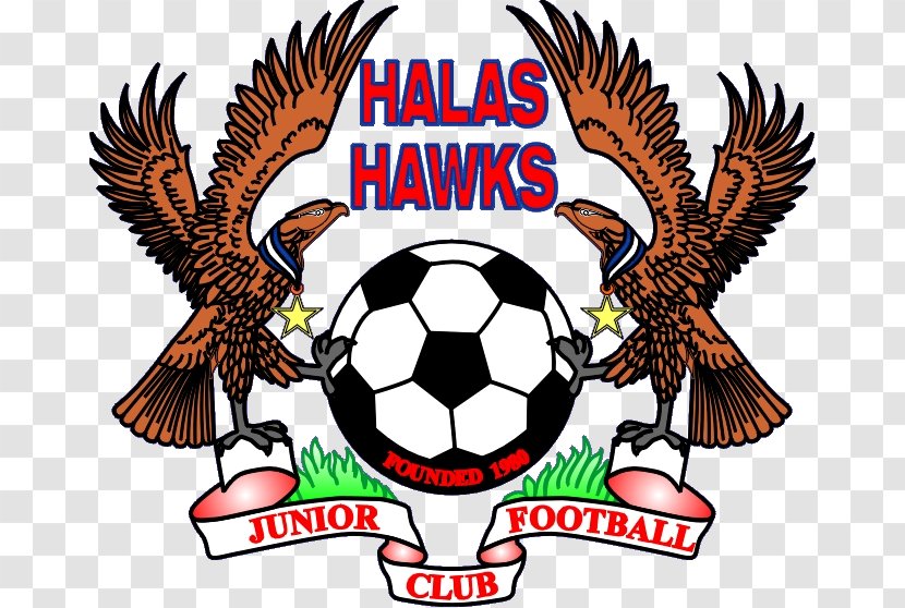 Halas Hawks JFC Premier League Football Team Sports - Pitchero - Hawk Black And White Transparent PNG