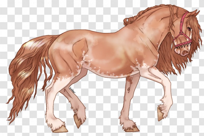 Mane Friesian Horse Mustang Pony Stallion - Halter Transparent PNG
