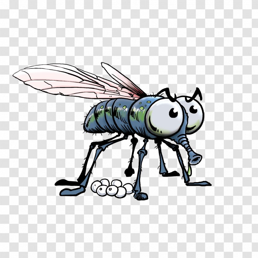 Insect Cartoon Clip Art Transparent PNG