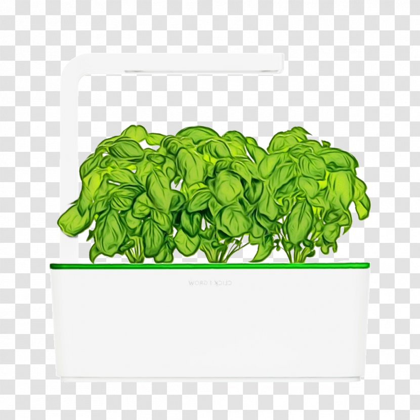 Green Grass Background - Plant - Food Leaf Vegetable Transparent PNG