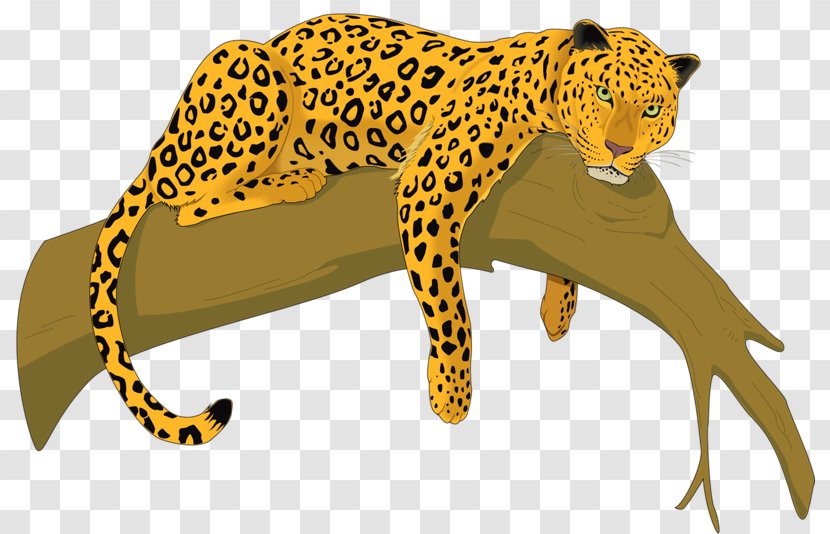 Cheetah Amur Leopard Felidae Clip Art - Coloring Book Transparent PNG