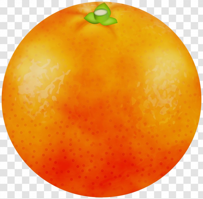 Orange - Seedless Fruit - Plant Transparent PNG