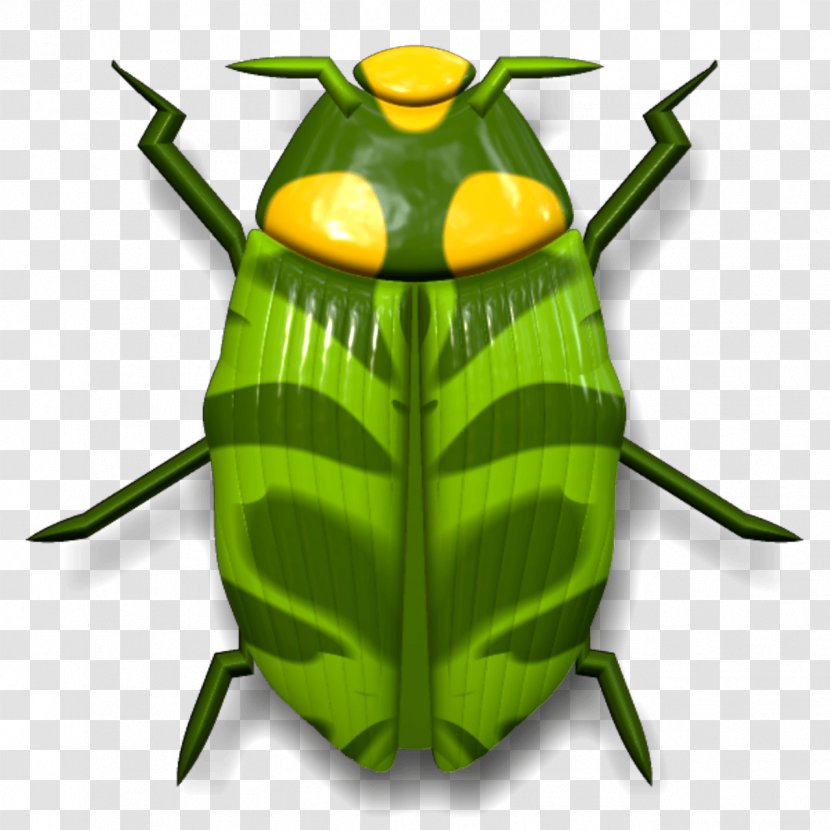 Ladybird Beetle Cockroach Clip Art - Aphid Transparent PNG