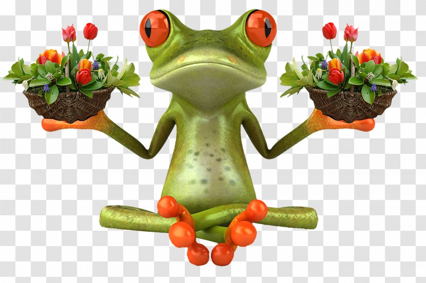 Frog Stock Photography Royalty-free Image Illustration Transparent PNG