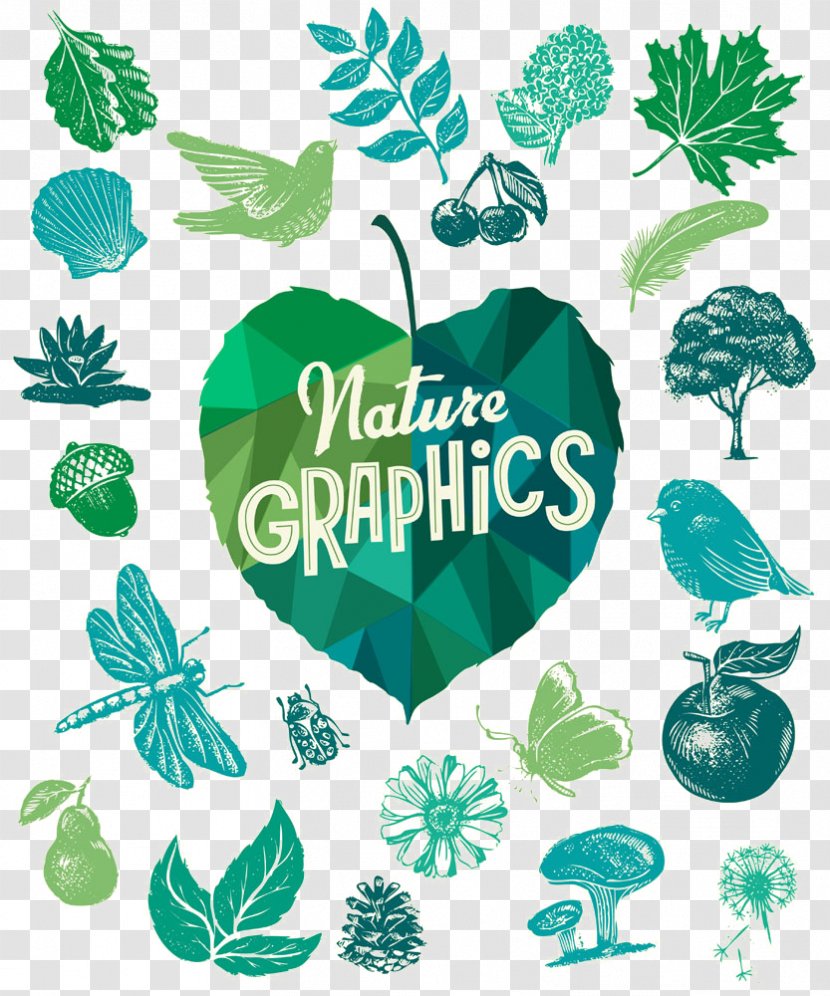 Illustration Stock Photography Vector Graphics Royalty-free Euclidean - Royalty Payment - Afforest Design Element Transparent PNG