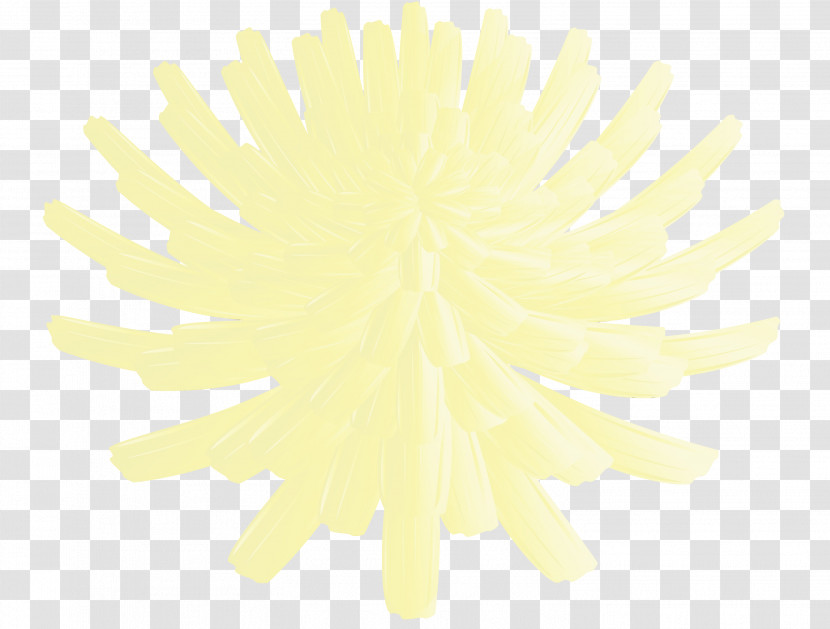 Petal Yellow Flower Transparent PNG