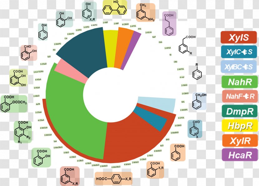 Biosensor Analyte Diagram Binding Selectivity - Information - Project TEAM Transparent PNG