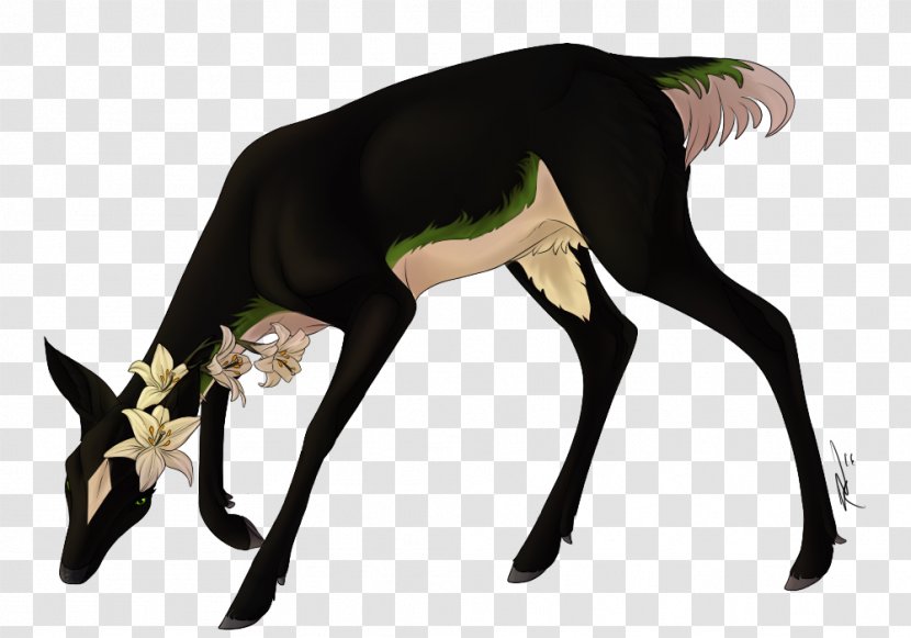 Canidae Dog Neck Mammal Wildlife - Carnivoran Transparent PNG