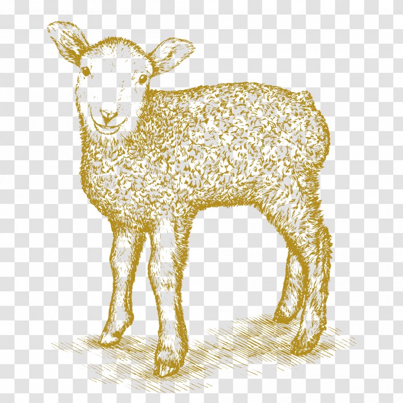Drawing Of Family - Deer - Goat Fawn Transparent PNG