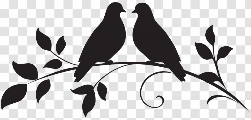 Bird Drawing Illustration - Love Doves Silhouette Clip Art Transparent PNG