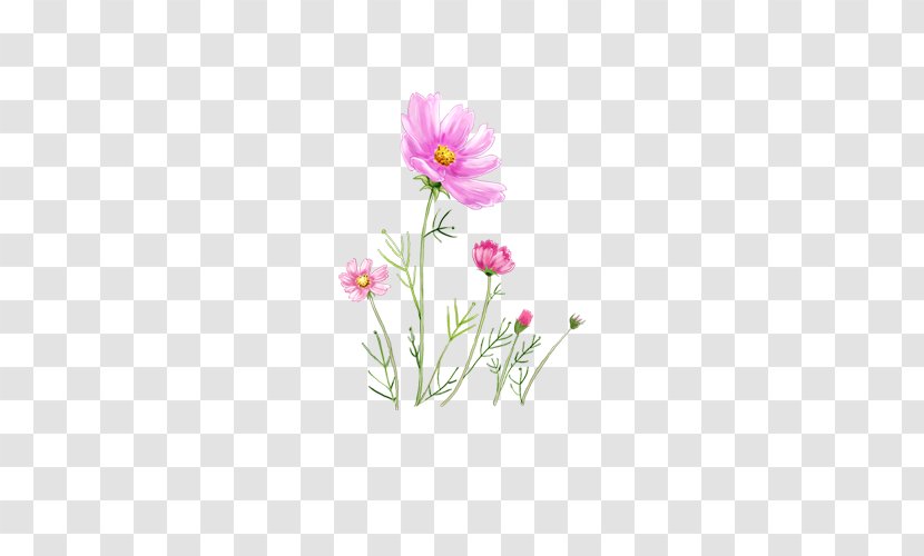 IPhone 4S 7 Plus 5 Desktop Wallpaper - Floral Design - Free Buckle Petals Element Transparent PNG