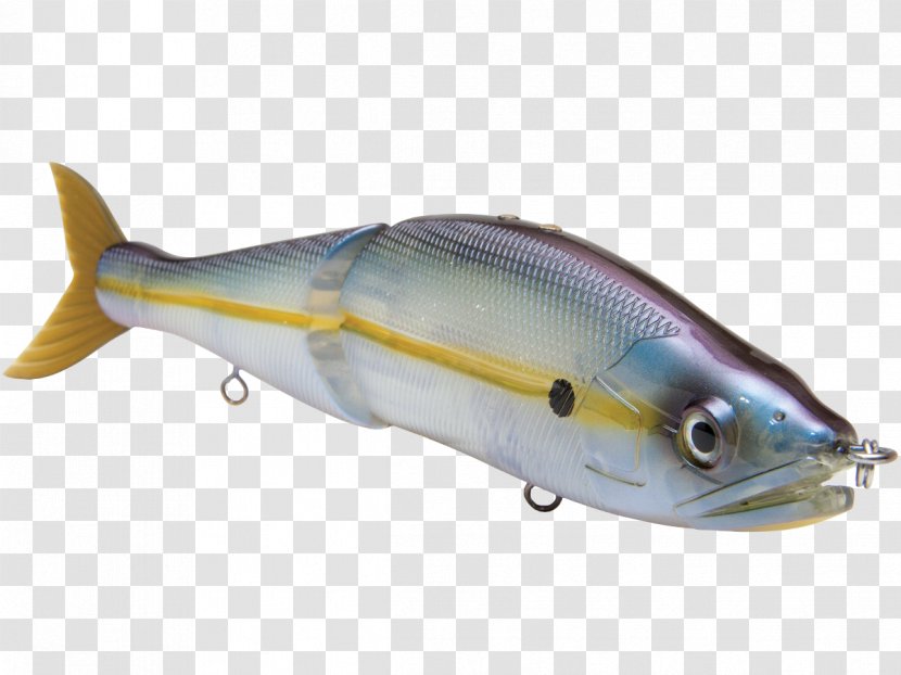 Sardine Marine Biology Oily Fish Milkfish Mammal - Plug - Striped Bass Fishing Transparent PNG
