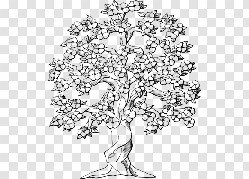 cherry blossoms clipart black and white tree