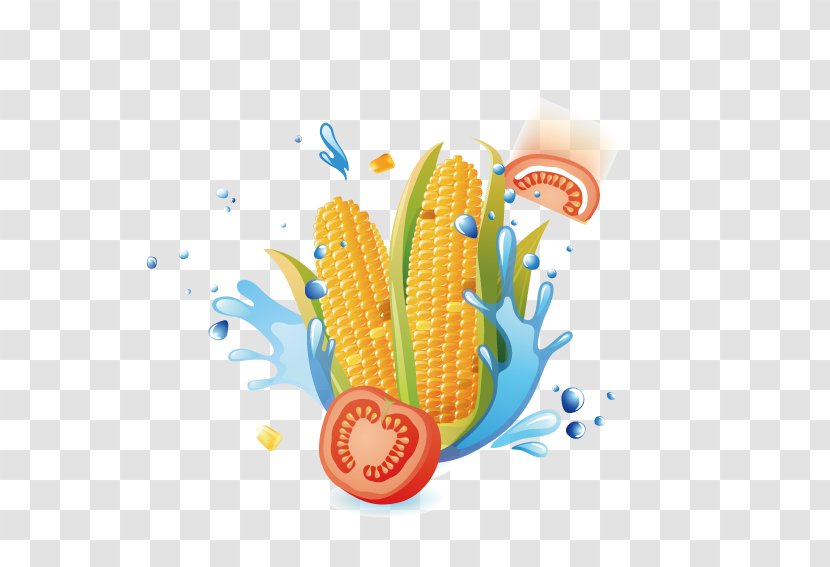Vegetable Auglis Illustration - Commodity - Corn Tomato Water Droplets Transparent PNG