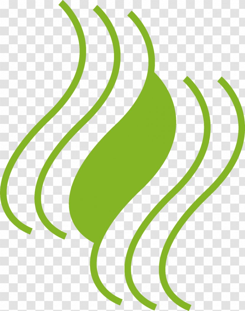 Clip Art Leaf Plant Stem Fruit Vegetable - Plants - Tilling Transparent PNG