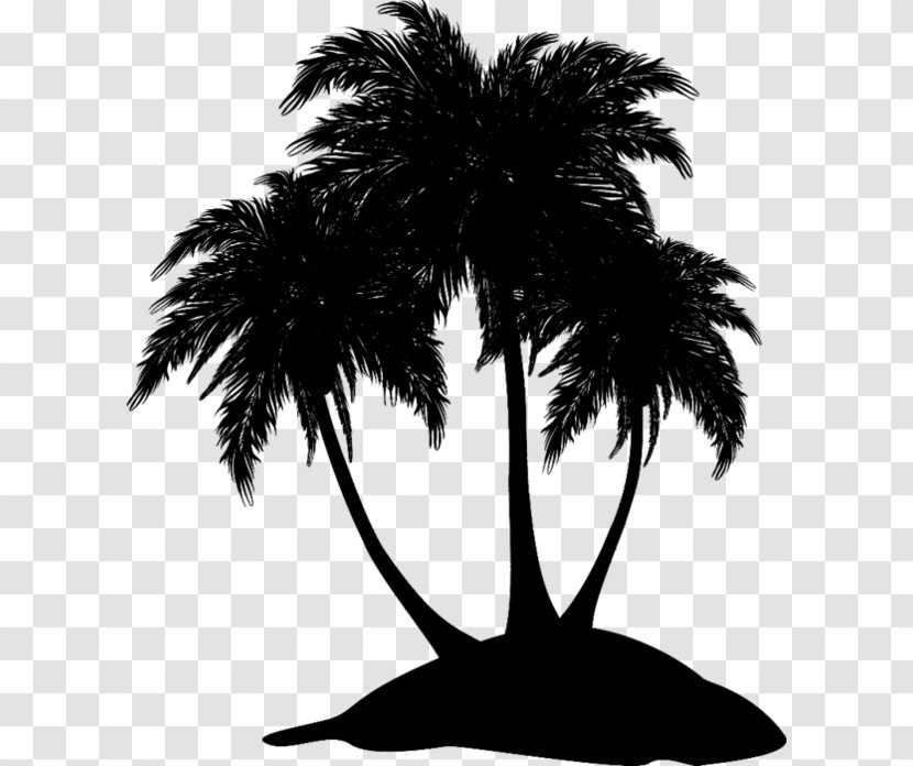 Asian Palmyra Palm Black & White - Arecales - M Date Leaf Silhouette Transparent PNG