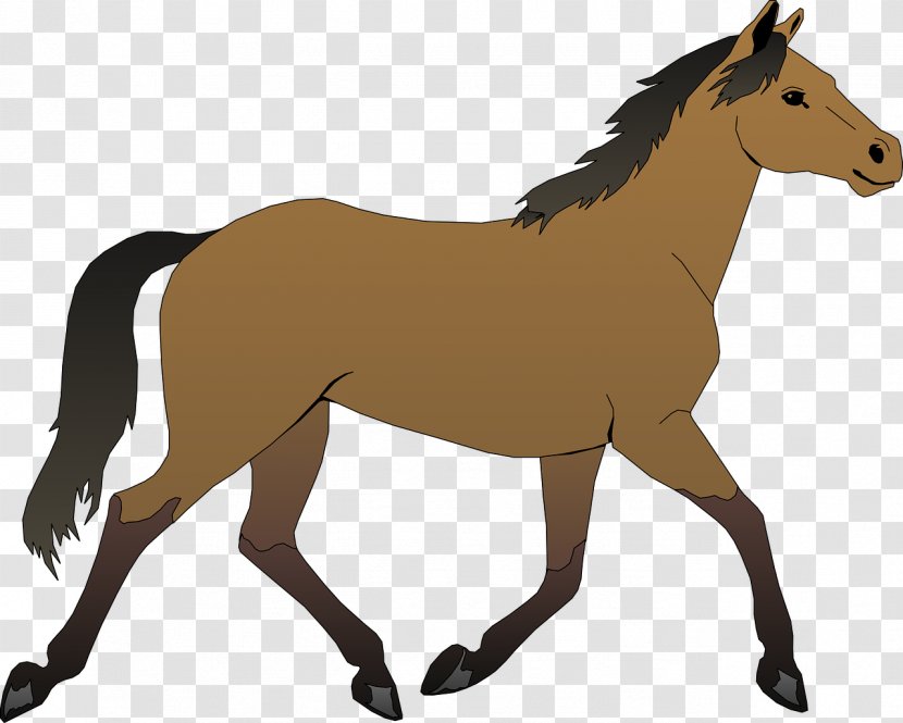 Horse Foal Clip Art - Supplies - Running Transparent PNG