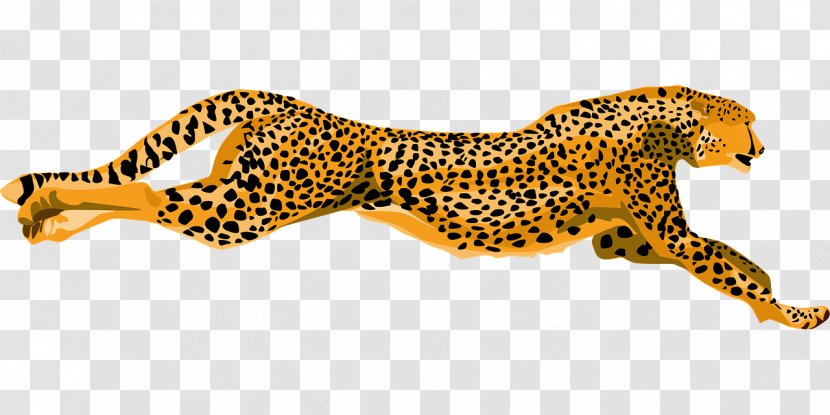 Cheetah Leopard Jaguar Clip Art - Big Cat - Flying Transparent PNG