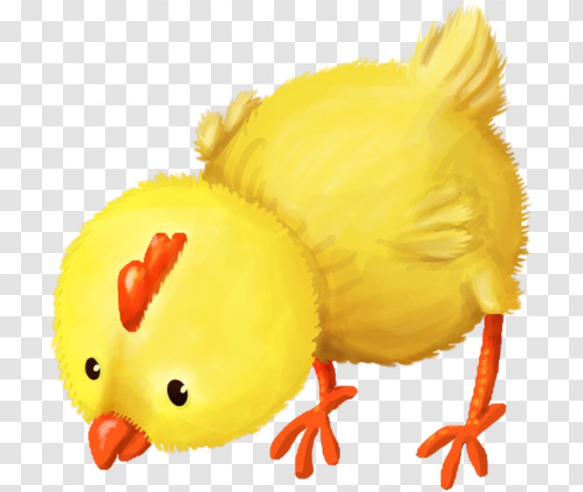 Chicken Clip Art - Organism Transparent PNG