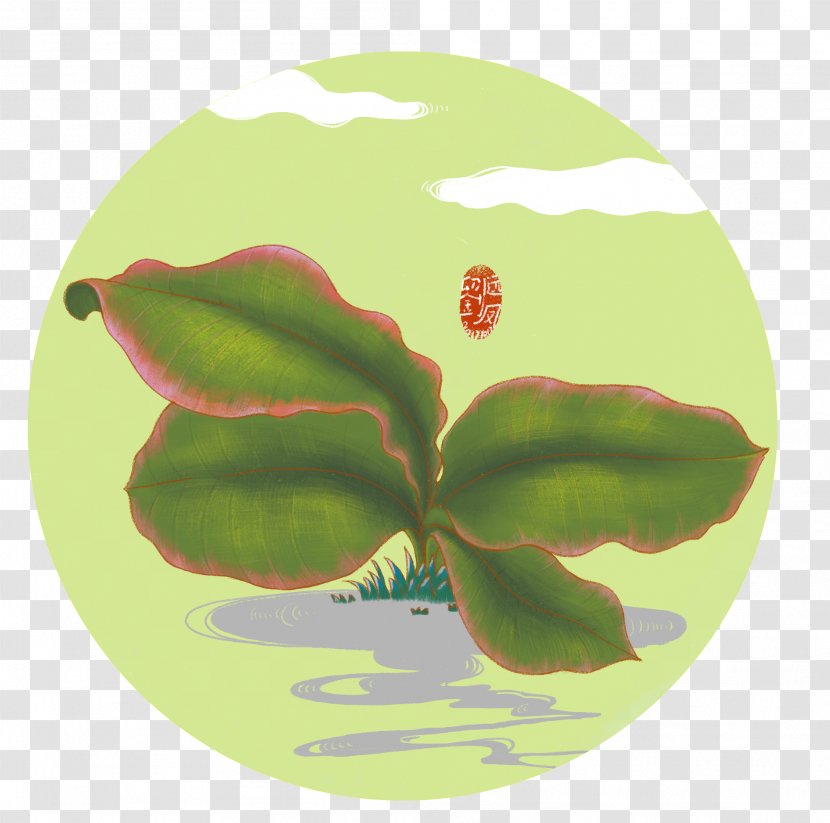 Illustration Leaf M. Butterfly - Green - Plant Border Transparent PNG