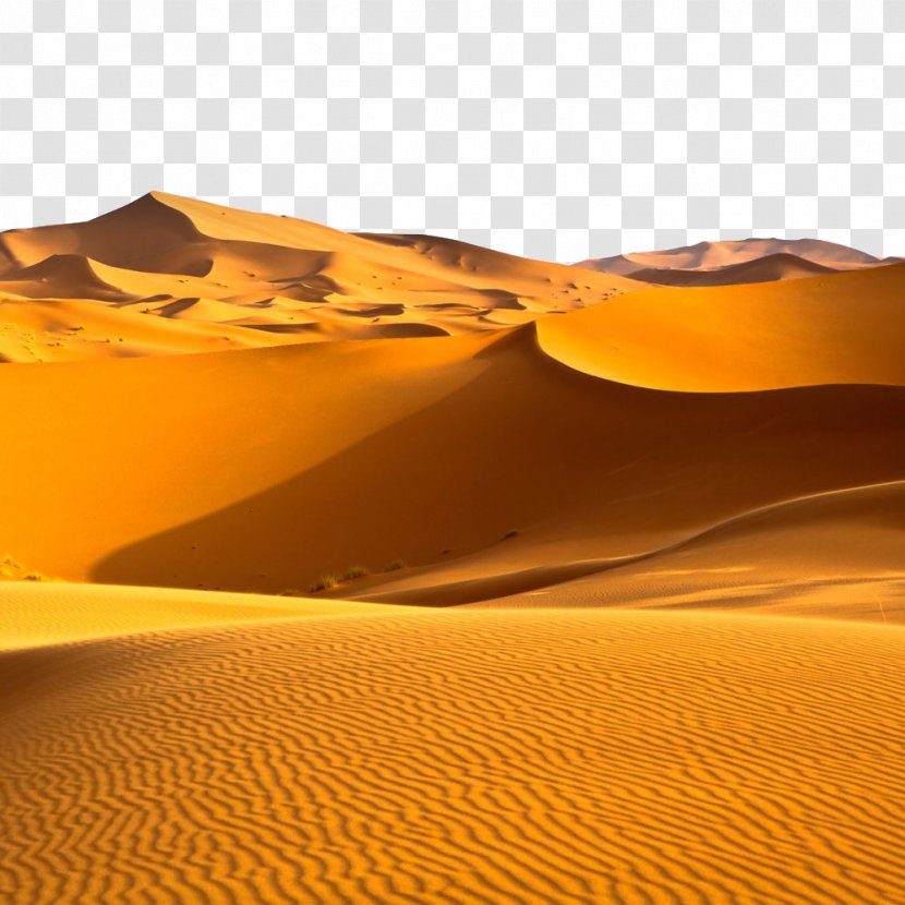 Sahara Arabian Desert Climate Biome Transparent PNG