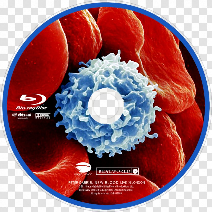 Blu-ray Disc DVD New Blood: Live In London Blood - Dvd Transparent PNG