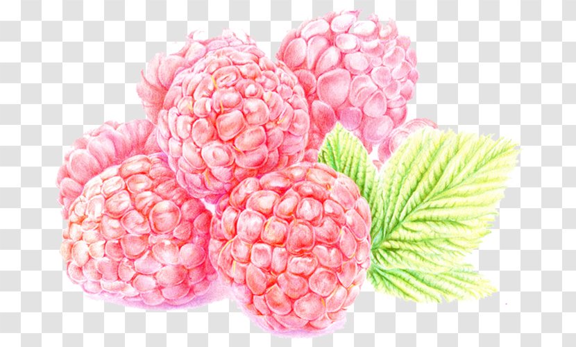 Raspberry Frutti Di Bosco Fruitcake - Produce - Fruit Transparent PNG