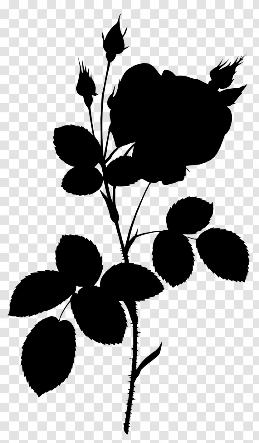 Leaf Idea Plant Stem Image Plants - Wall - Blackandwhite Transparent PNG