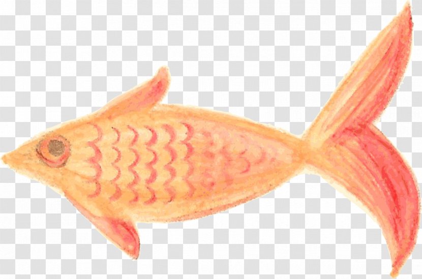 Painted Fish Painting - Fin Transparent PNG