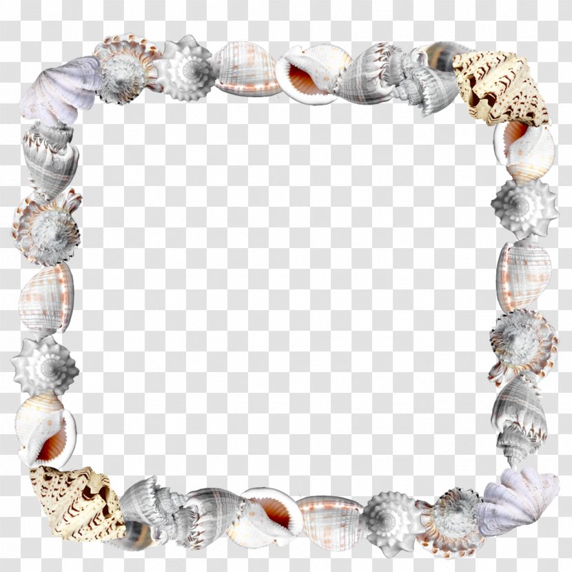 Picture Frame Photography - Jewellery - Decorative Conch Transparent PNG