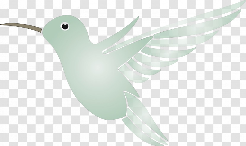 Hummingbird Transparent PNG