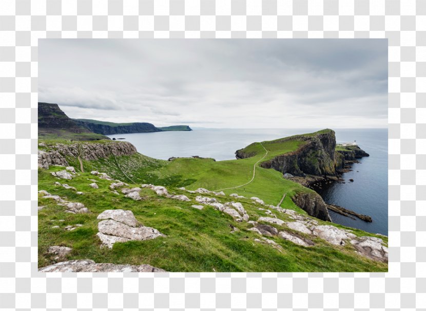 Fjord Cape May Promontory Loch Headland - Cliff - Pigeon Point Lighthouse Transparent PNG